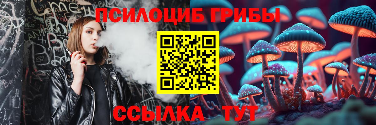 Псилоцибиновые грибы MAGIC MUSHROOMS  Вход с VPN  Топки 