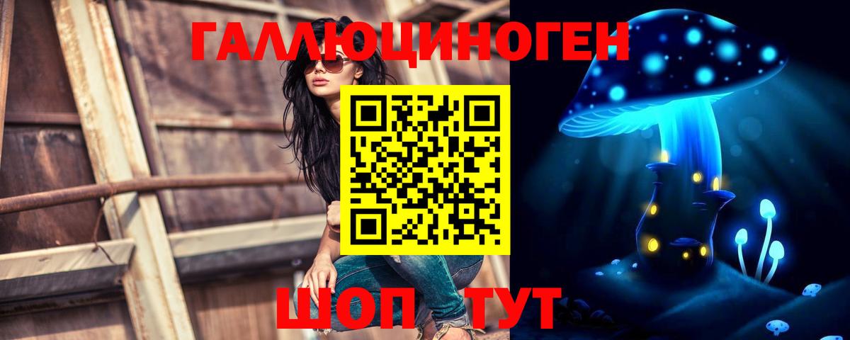 Псилоцибиновые грибы Cubensis Топки